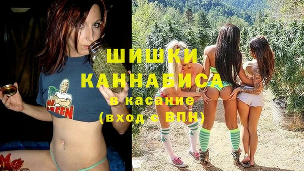 ГАЛЛЮЦИНОГЕННЫЕ ГРИБЫ Карталы